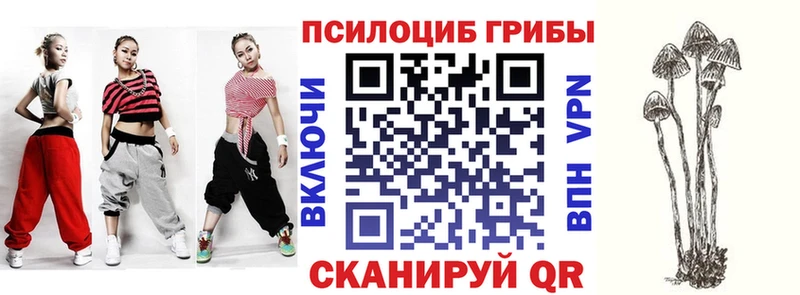 Псилоцибиновые грибы мицелий  магазин продажи наркотиков  Ейск 