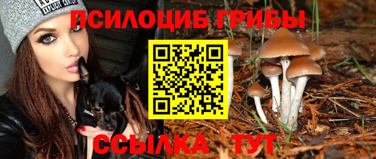 Галлюциногенные грибы прущие грибы Ейск